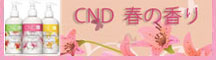CNDspring12