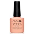 【CND  】 廃盤  Shellac・Dandelion（Flora & Faunaコレクション）7.3ml 旧箱入り