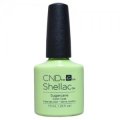 【CND  】廃盤 Shellac・Sugarcane（'17 Rhythm & Heat Summerコレクション）7.3ml 旧箱入り