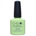 【CND  】Shellacソークオフジェル・Sugarcane （'17 Rhythm & Heat Summerコレクション）  7.3ml