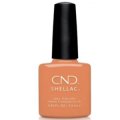 【CND  】 Shellac・Catch of the day(Nauti Nautical 2020夏コレクション)7.3ml
