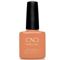 【CND  】 Shellac・Catch of the day （Nauti Nautical 2020夏コレクション）  7.3ml