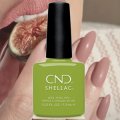 【CND  】 廃盤  Shellac・Crisp Green （Autumn Addict 2020秋コレクション） 7.3ml