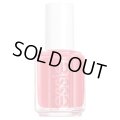 【エッシー 】廃盤Ice Cream and Shout   （Ferris of Them All　コレクション） 13.5ml