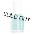 【エッシー 】廃盤  Main Attraction  （Ferris of Them All　コレクション） 13.5ml