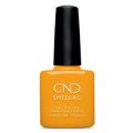 【CND  】Shellac-Among the Marigolds  （2022春　Rise & Shineコレクション）  7.3ml