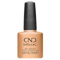 【CND  】Shellac・Getting Golder  (Magical Botany 2023ホリデーコレクション)　 7.3ml