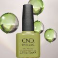 【CND  】Shellac・PlantBound (Dynamic Duality2024秋コレクション) 7.3ml