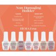 画像2: 【Harmony】gelish-ブラッシュオンビルダージェル-Beige Nude  15ml