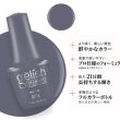 画像2: 【Harmony】gelishカラープラス ジェルネイル ポリッシューCharcoal Chic
